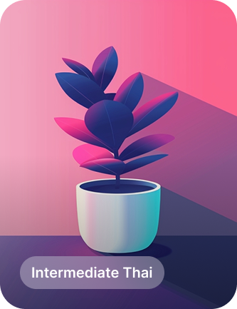 thai-inter
